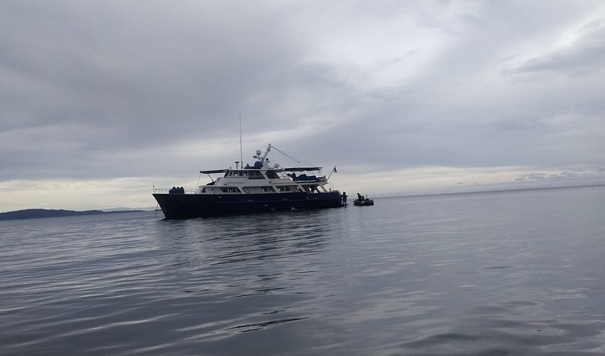 kapal pesiar