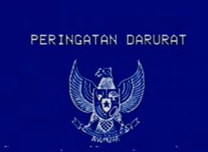 peringatan-darurat_169 peringatan-darurat_169